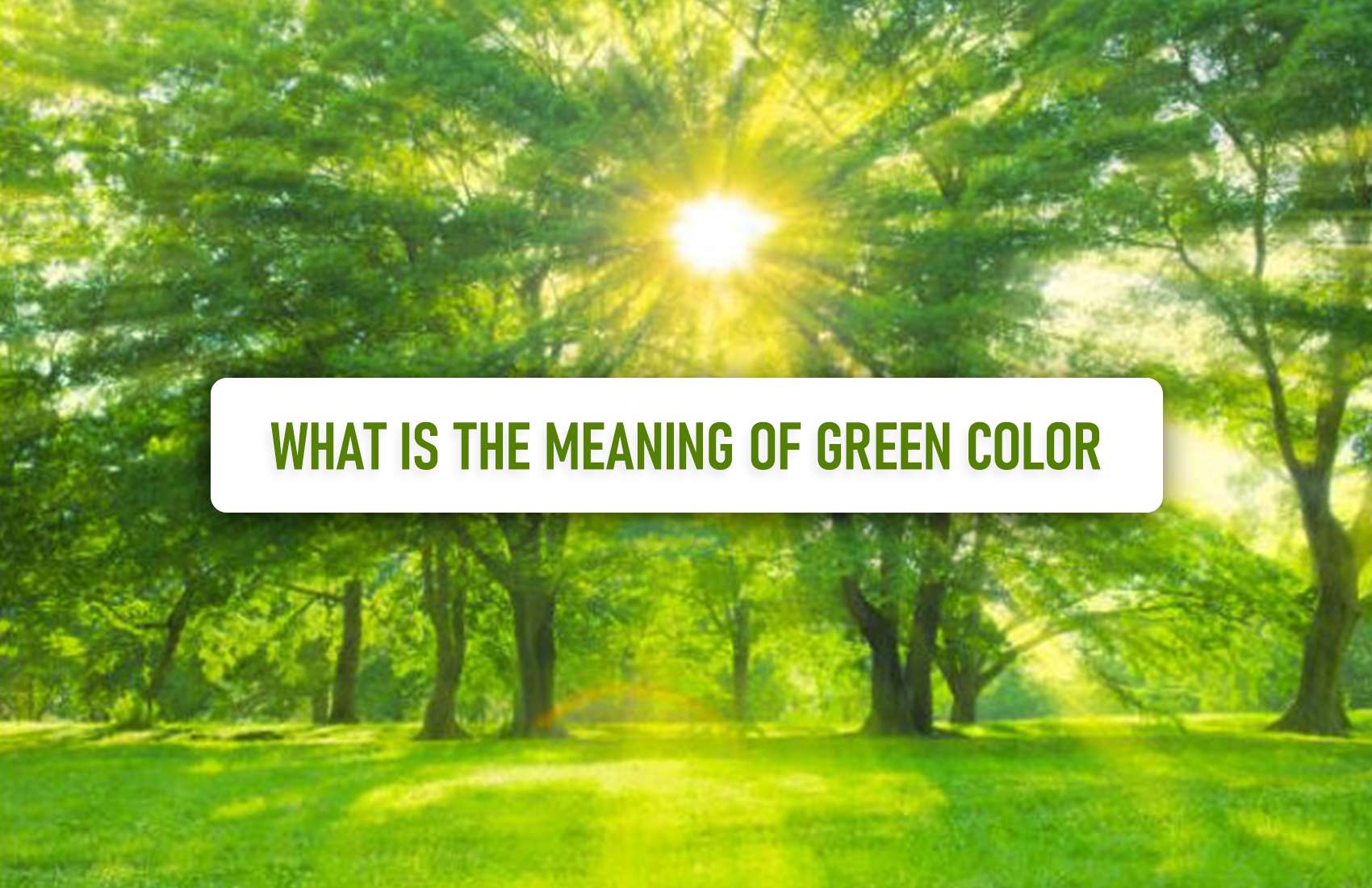 What is the Meaning of Green Color