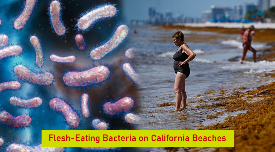Flesh-Eating Bacteria on California Beaches