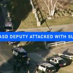 Lasd Deputy Attacked With SUV