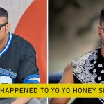 What Happened to Yo Yo Honey Singh